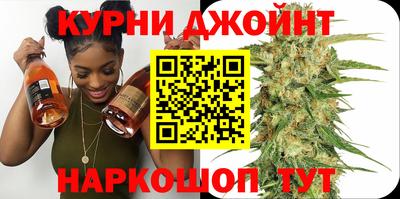 шишки Обь