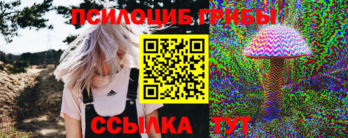 Партизанск  Псилоцибиновые грибы Psilocybine cubensis  Галлюциногенные грибы MAGIC MUSHROOMS  Вход с VPN 